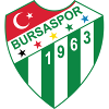 Logo Bursaspor
