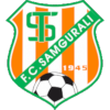 Logo Samgurali Tskh