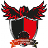 Logo Penya Encarnada