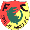 Logo Steve Biko