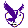 Logo Boroondara Eagles (W)