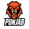 Logo Minerva Punjab