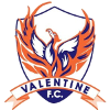 Logo Valentine