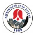 Logo Hakkarigucu SK (W)