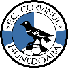 Logo Corvinul Hunedoara