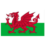 Logo Wales U19