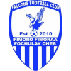 Logo Falcons FC