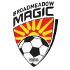 Logo Broadmeadow Magic Reserves
