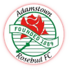 Logo Adamstown Rosebud Reserves