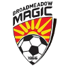Logo Broadmeadow Magic (W)