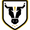 Logo Bulls Academy (W)