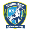 Logo Genesis