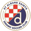 Logo St Albans Saints U23
