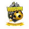 Logo Wusum Stars