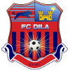 Logo Dila Gori